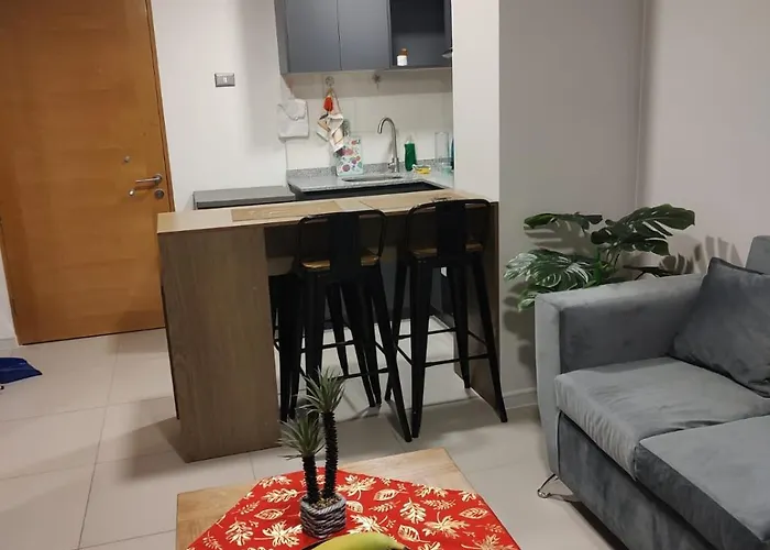 Excelente Departamento En Santiago