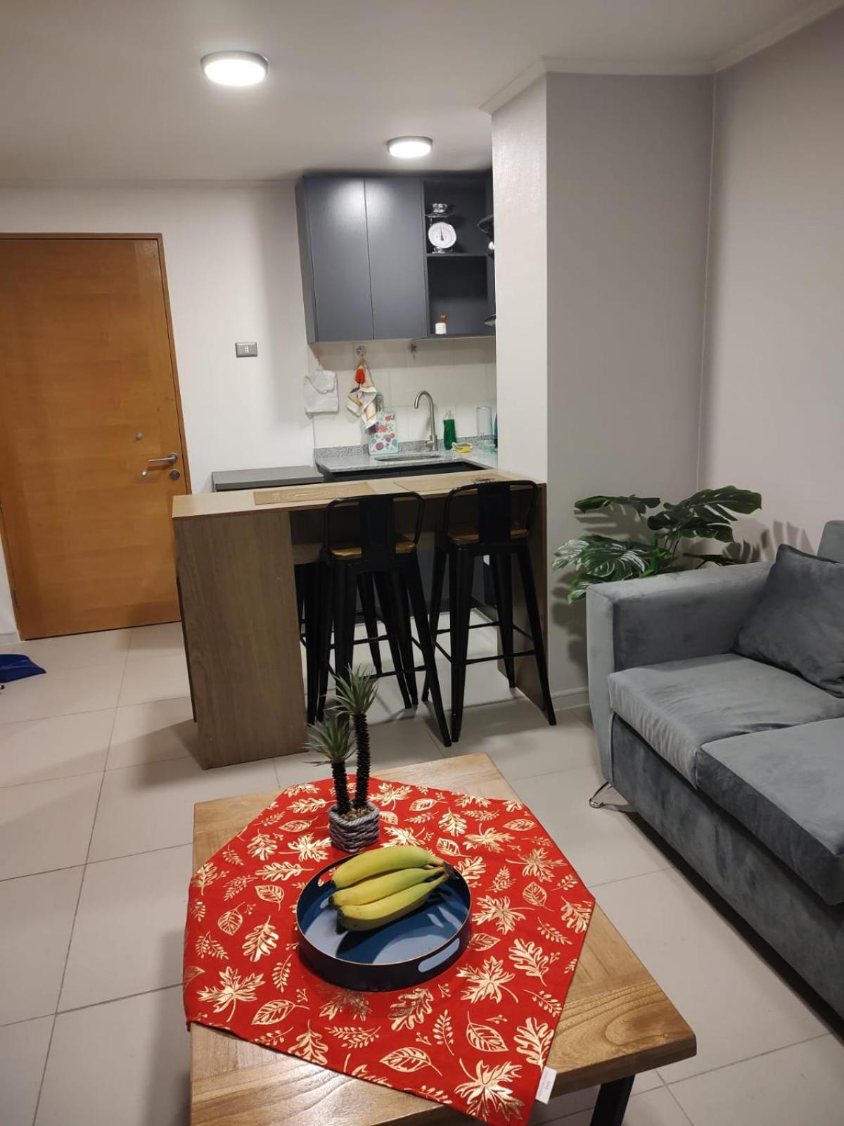 Excelente Departamento En Apartamento *